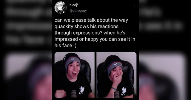 Quackity Shows His Reactions Through Expressions Copypasta meme card