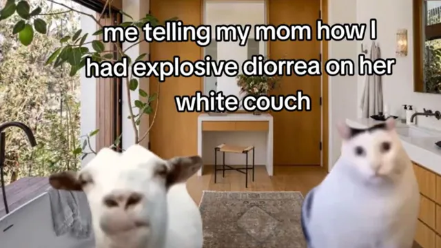 Rambling Goat and Huh? Cat / Goat Cat Huh? meme card
