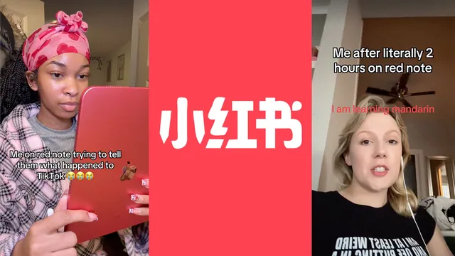 Rednote TikTok Refugees meme card