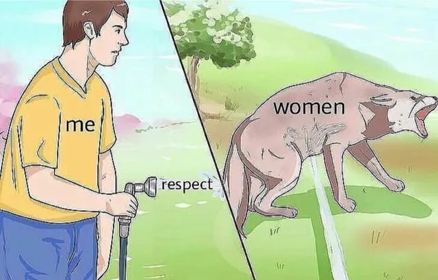 Carte meme Respect Women