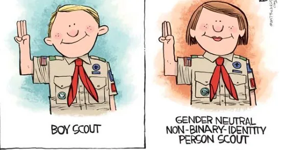 Rick McKee's Boy Scout Cartoon meme card