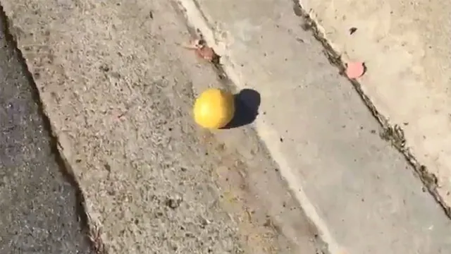 Rolling Lemon meme card