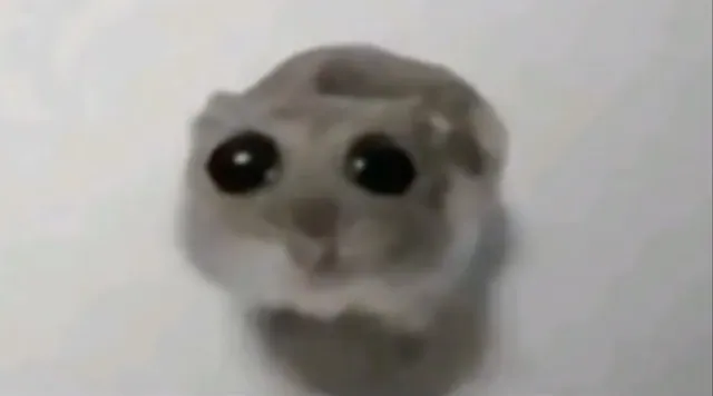Sad Hamster / Hamster With Big Eyes meme card