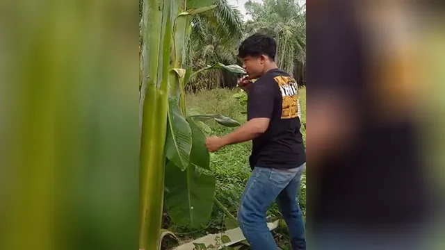 Carte meme Salam Dari Binjai