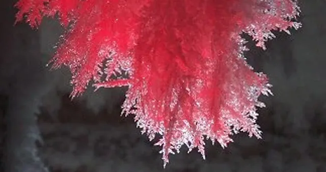 Carte meme SCP-009 / Red Ice