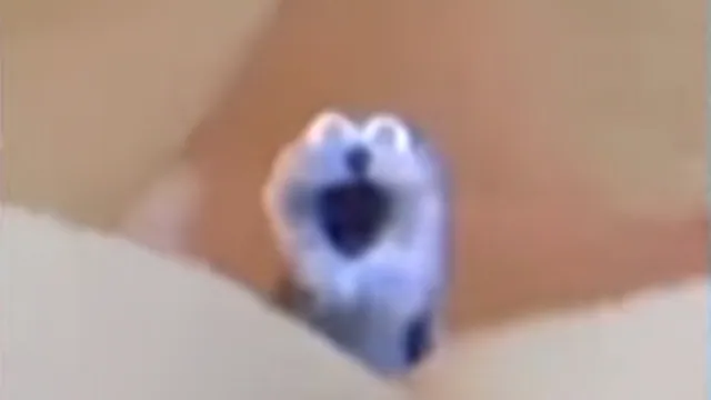 Screaming Blue Thing meme card