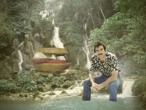 Selleck Waterfall Sandwich meme card