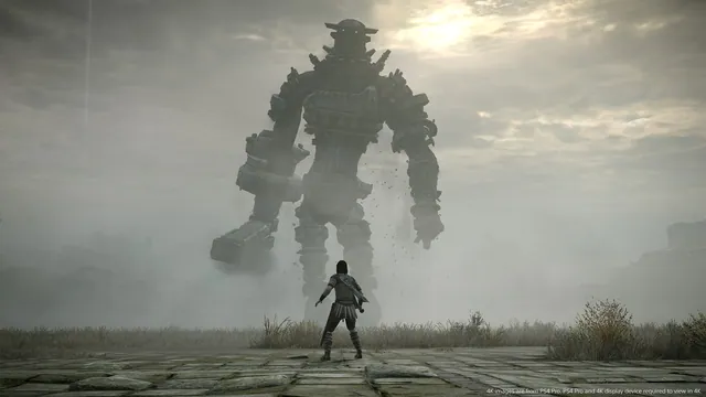 Carte meme Shadow of the Colossus