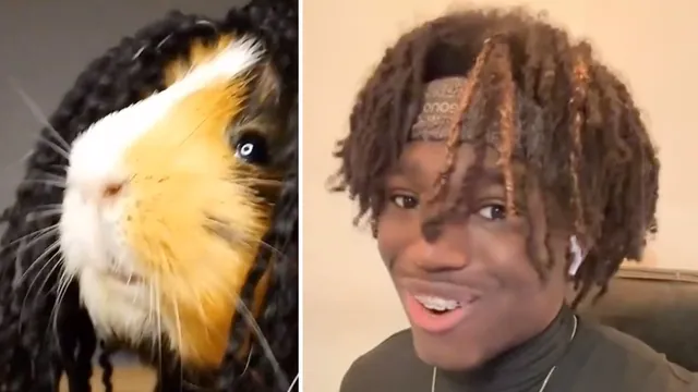 Carte meme Shake Your Dreads