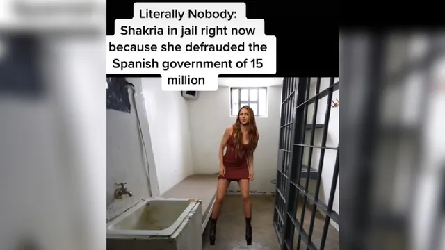 Carte meme Shakira In Jail