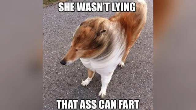 She Wasn't Lying, That Ass Can Fart meme card