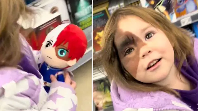 Shoto Todoroki Plushie "He Has a Birthmark Like Me" meme card