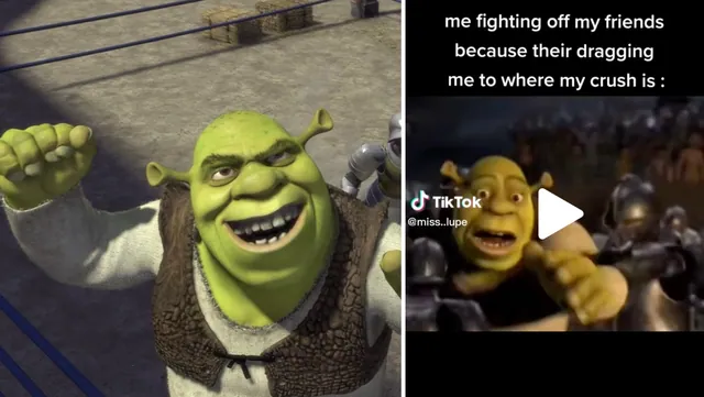 Shrek Fighting Knights meme card
