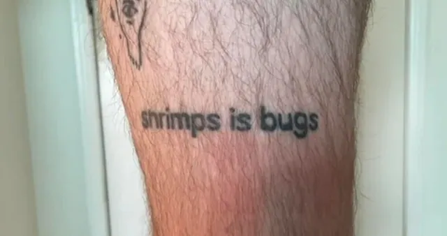 Shrimps Is Bugs meme card