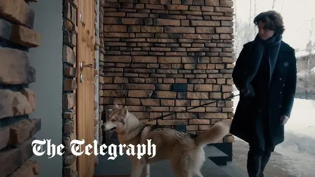 Siberian Husky Russian Propaganda meme card