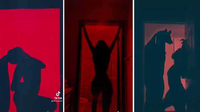 Silhouette Challenge meme card