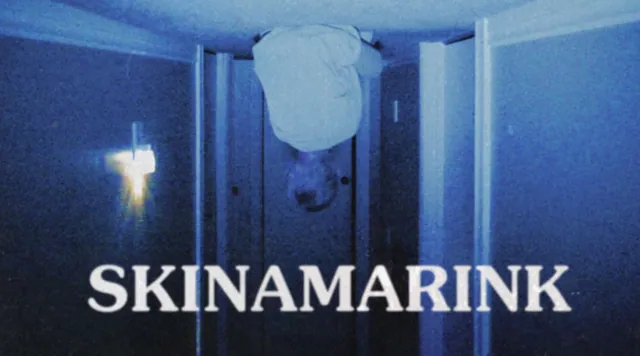 Skinamarink meme card
