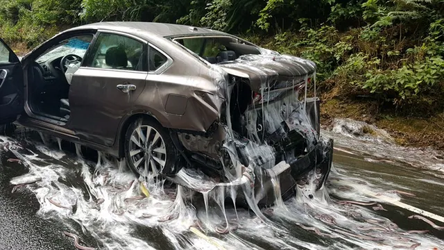 Slime Eels Car meme card