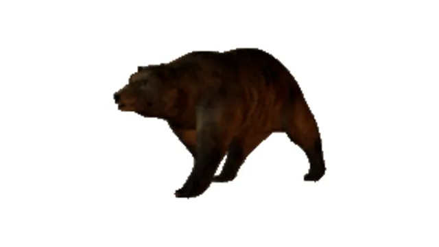 Carte meme Slowly Approaching Bear