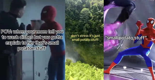Small Potato Stuff meme card