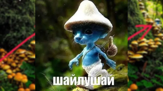 Smurf Cat meme card