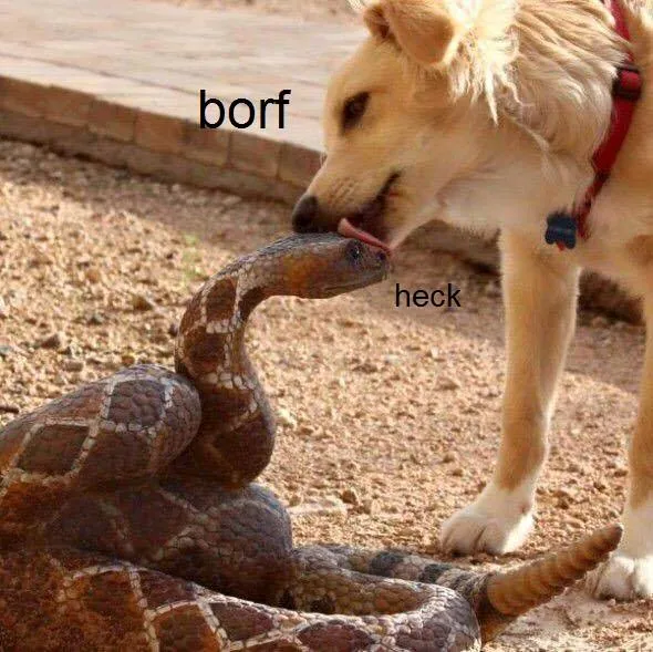 Snek meme card