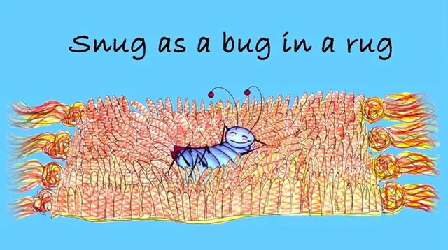 Snug as a Bug In a Rug meme card