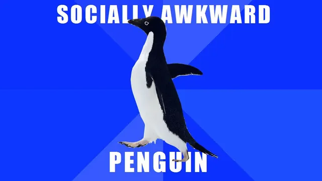 Carte meme Socially Awkward Penguin