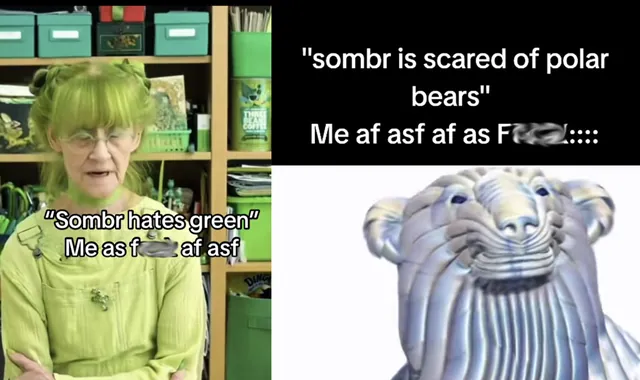 Sombr Hate / Do X Or Listen To Sombr meme card