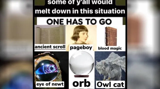 Some of Y'all Would Melt Down In This Situation / One Has to Go meme card