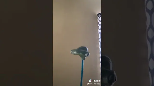 Someone Here Is Possessed By An Owl meme card
