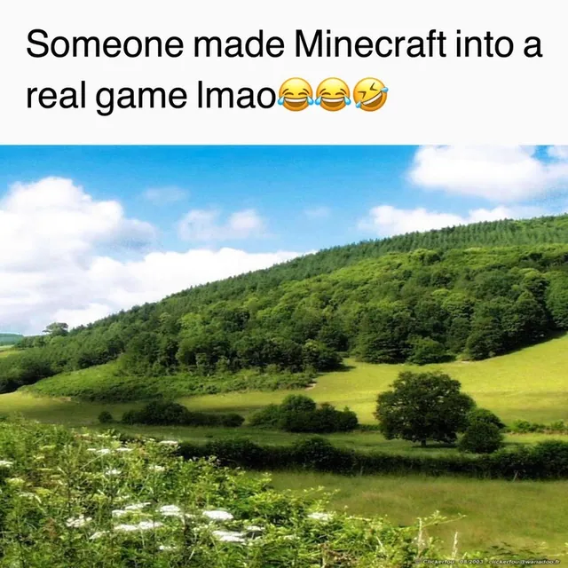 Someone Turned This Into a Real Game meme card