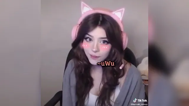 Sorry I Don't Talk In An UWU Voice meme card