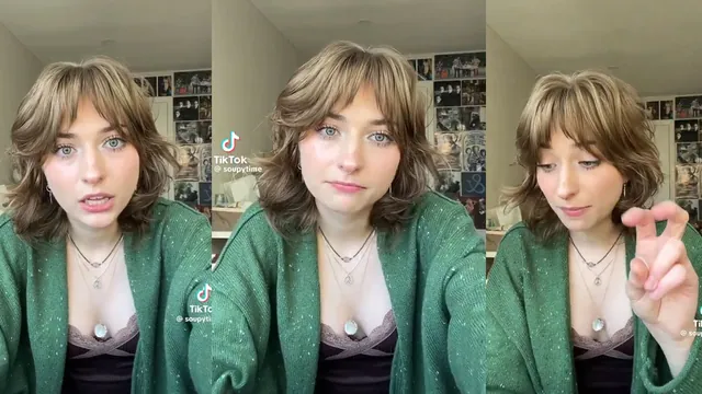 Soupytime's "Fascist Countries Ban Websites" TikTok meme card