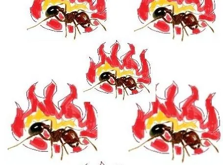 Carte meme Spicy Boys