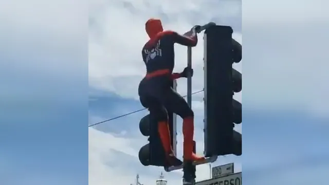 Spider-Man Twerking on a Stoplight meme card