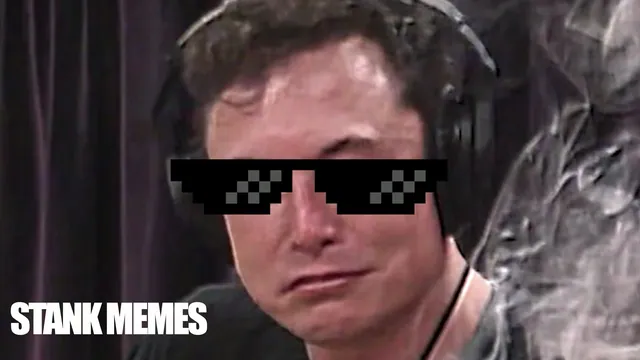 Stank Memes meme card