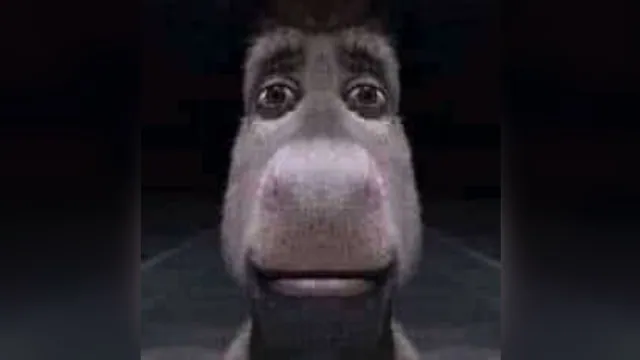Staring Donkey meme card