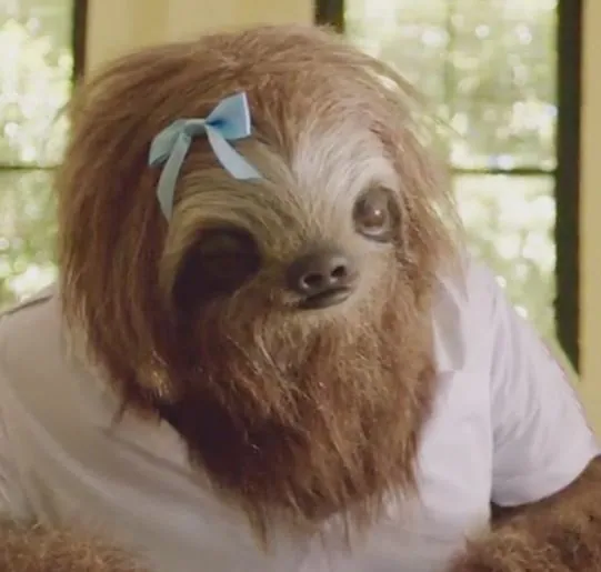 Carte meme Stoner Sloth