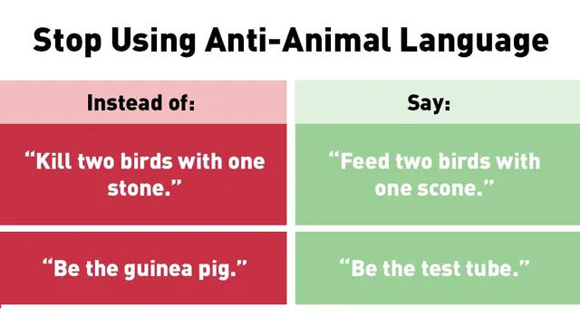 Stop Using Anti-Animal Language meme card