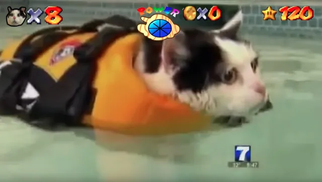 Super Mario 64 IRL Edits meme card