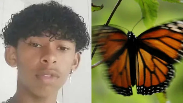 Carte meme Teen Who Injected Himself With a Crushed Butterfly