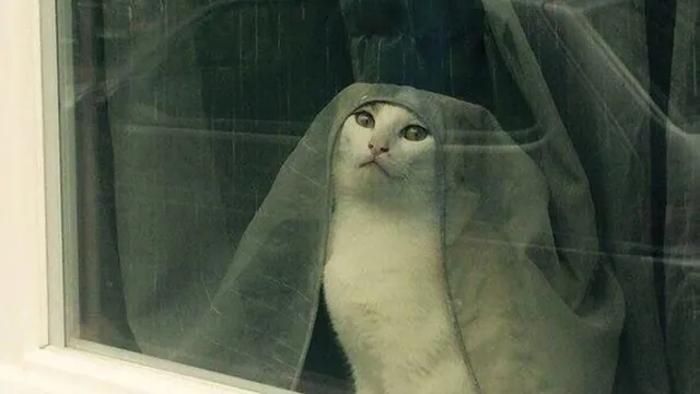 "Tell Cersei. I Want Her to Know It Was Me" meme card