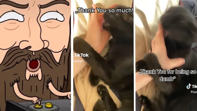 Thank You For Being So Dumb meme card