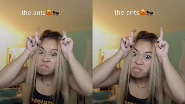 Carte meme The Ants 😡 🐜