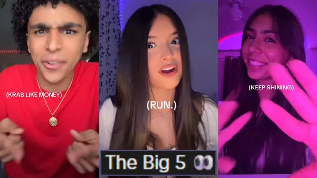 The Big 5 (TikTok) meme card
