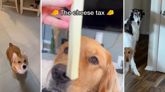 The Cheese Tax meme card