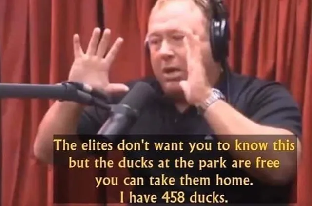 The Ducks at the Park are Free meme card