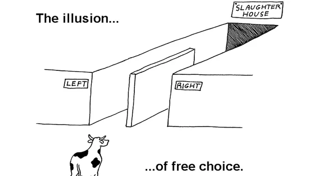 Carte meme The Illusion of Free Choice