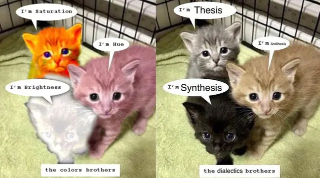 The Kitten Brothers meme card